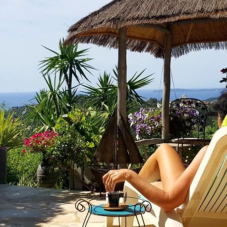 Coeurs de Pirates en Hiver SPA SAUNA TERRASSES ABRITEES JARDIN Vélos B&B Cavalaire-sur-Mer Exterior foto