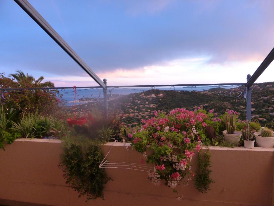 Coeurs de Pirates en Hiver SPA SAUNA TERRASSES ABRITEES JARDIN Vélos B&B Cavalaire-sur-Mer Exterior foto