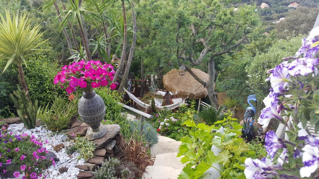 Coeurs de Pirates en Hiver SPA SAUNA TERRASSES ABRITEES JARDIN Vélos B&B Cavalaire-sur-Mer Exterior foto