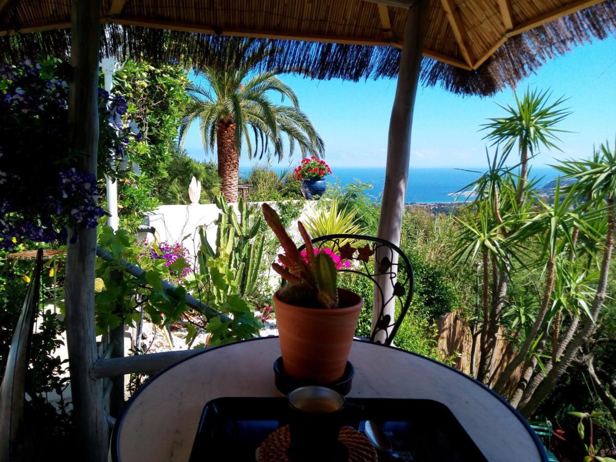 Coeurs de Pirates en Hiver SPA SAUNA TERRASSES ABRITEES JARDIN Vélos B&B Cavalaire-sur-Mer Exterior foto
