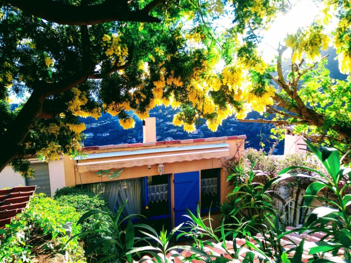 Coeurs de Pirates en Hiver SPA SAUNA TERRASSES ABRITEES JARDIN Vélos B&B Cavalaire-sur-Mer Exterior foto