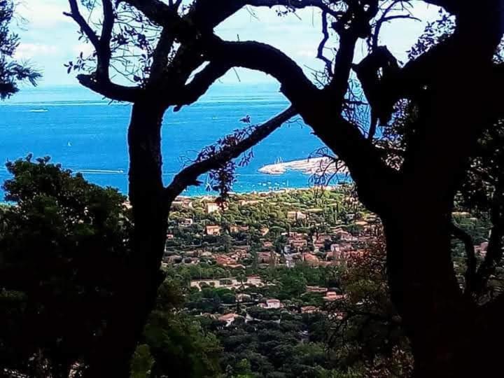 Coeurs de Pirates en Hiver SPA SAUNA TERRASSES ABRITEES JARDIN Vélos B&B Cavalaire-sur-Mer Exterior foto
